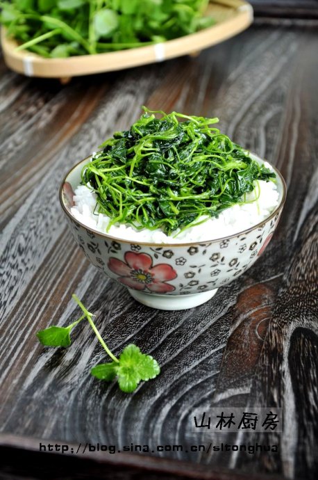 ��Ͳ�ͷ������