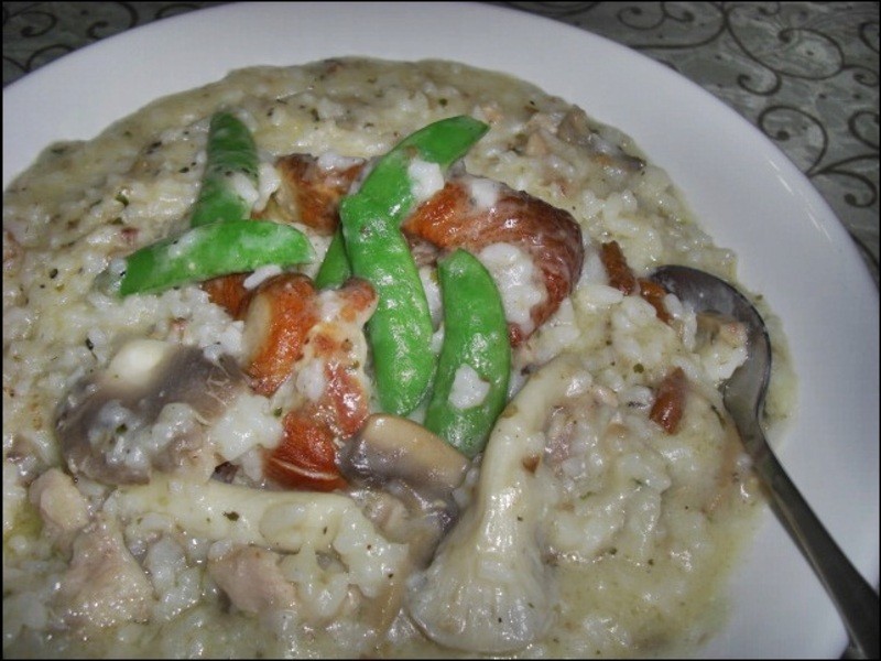 ?ʮ����������DIY?����Ũ��Ұ���`���h��������