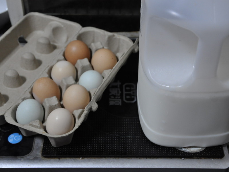 �����ӵĳ����׵������������