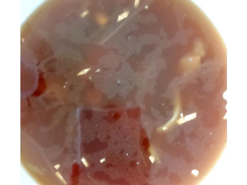 ��ʽѼ������մ�������