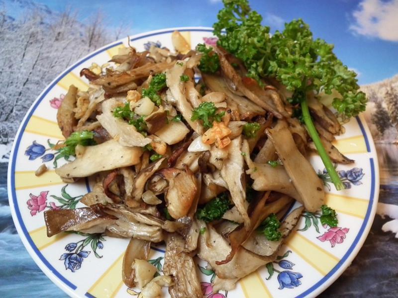 �����ִ౫�㹽������