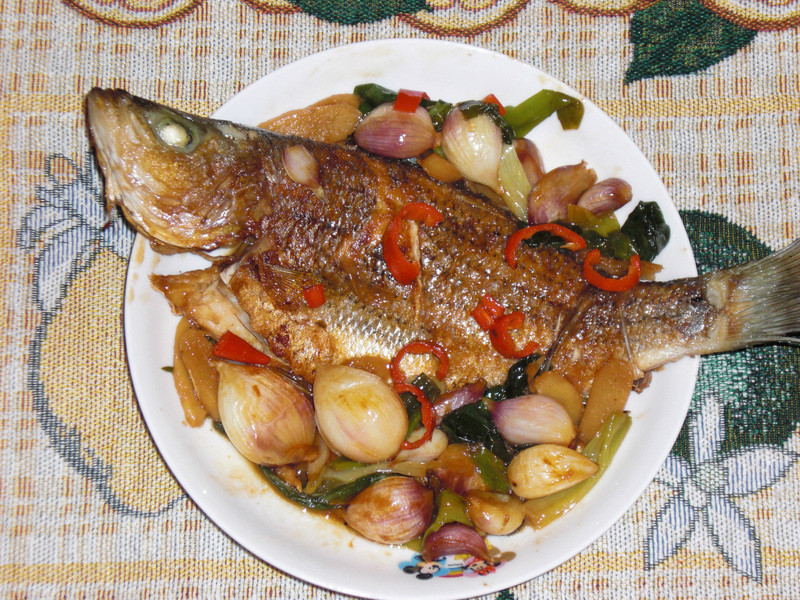 �������������