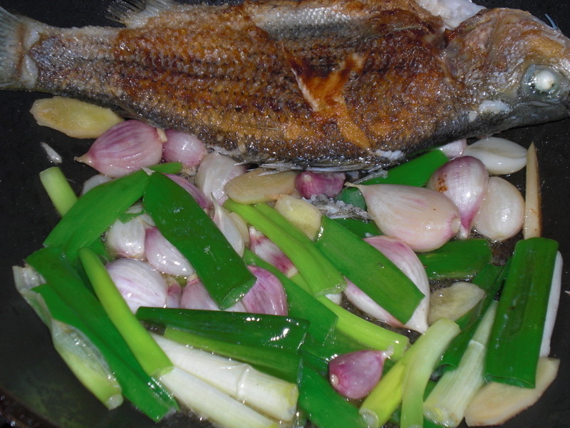 �������������