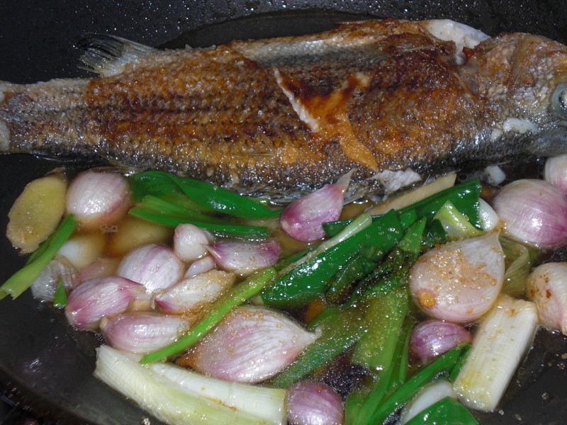 �������������