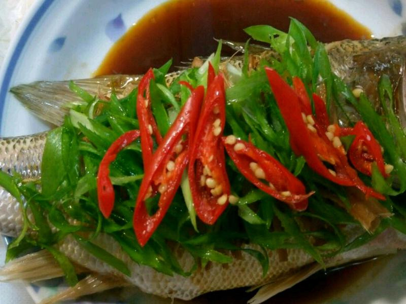 �����������������