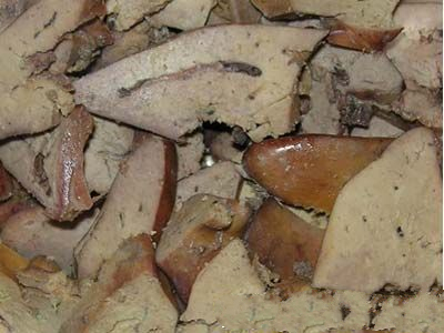 ��ˮ���ε�����