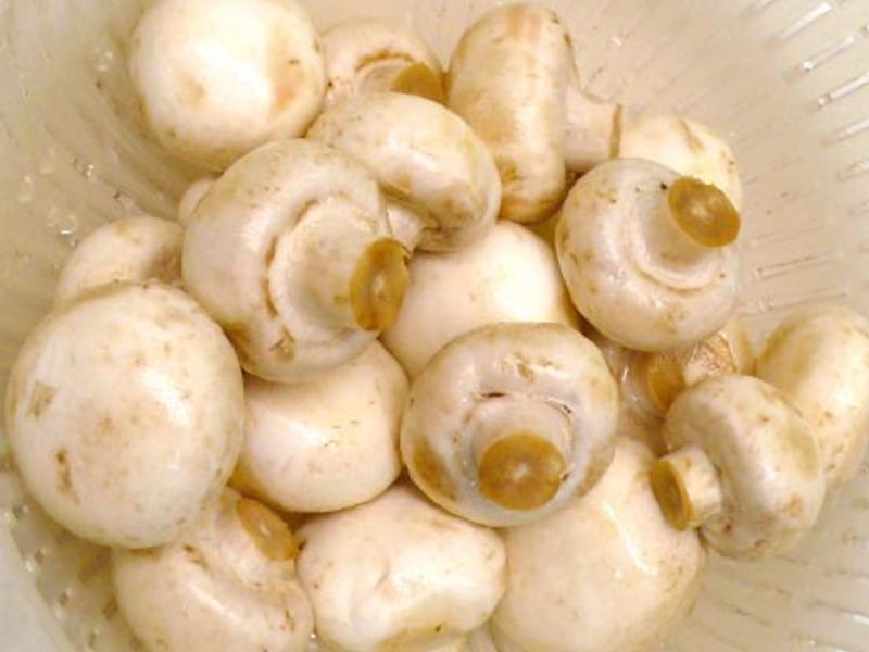 miniĢ������ ? Ģ��С�ƹ�5 ?������