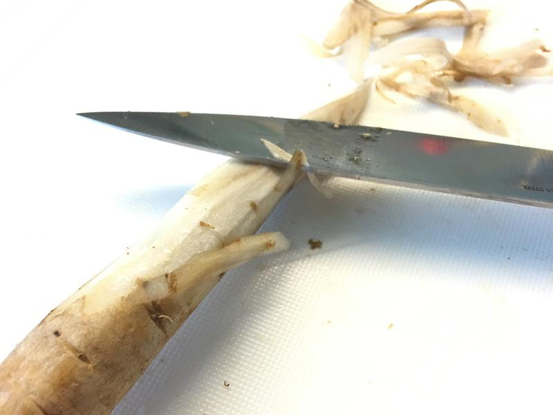 ţ��˿������