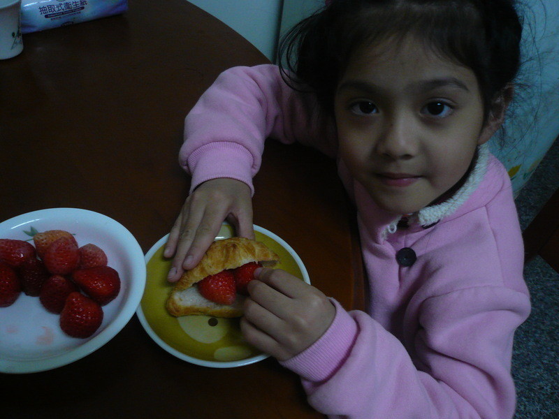 ��ݮ���������ݮ�Ͱ�ӥ�����̵�����