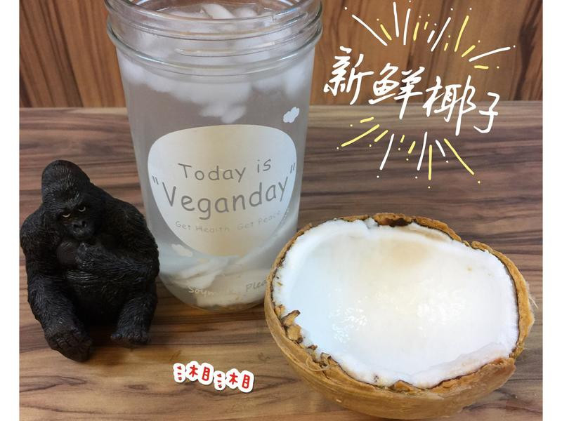 ����Ҭ������������������