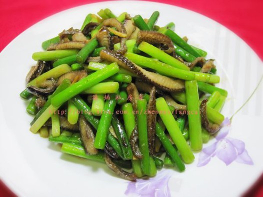 ��̦����˿������