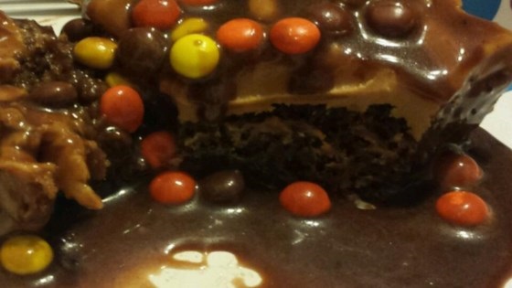 �����������������