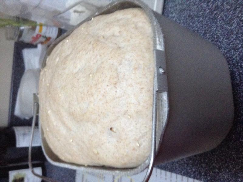 ��Ȼ��ĸ�������- ���׽ܿ����Ҿ�������