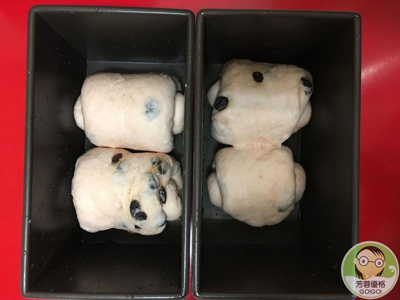 �ۺ��Ÿ����Ѹ���˾������