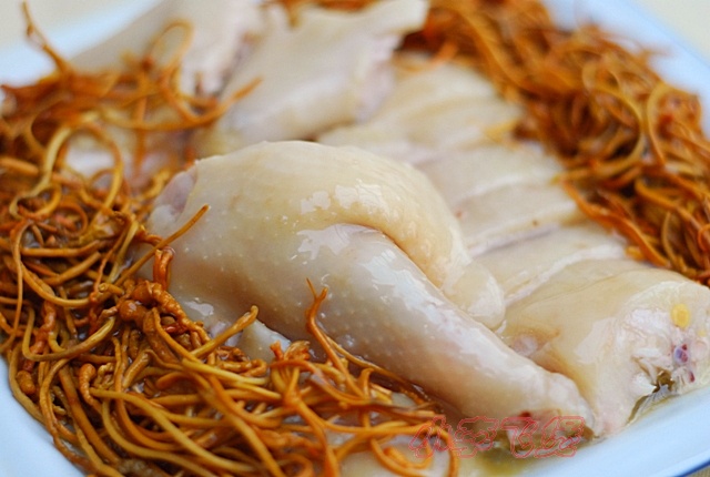 ��ݻ�����������