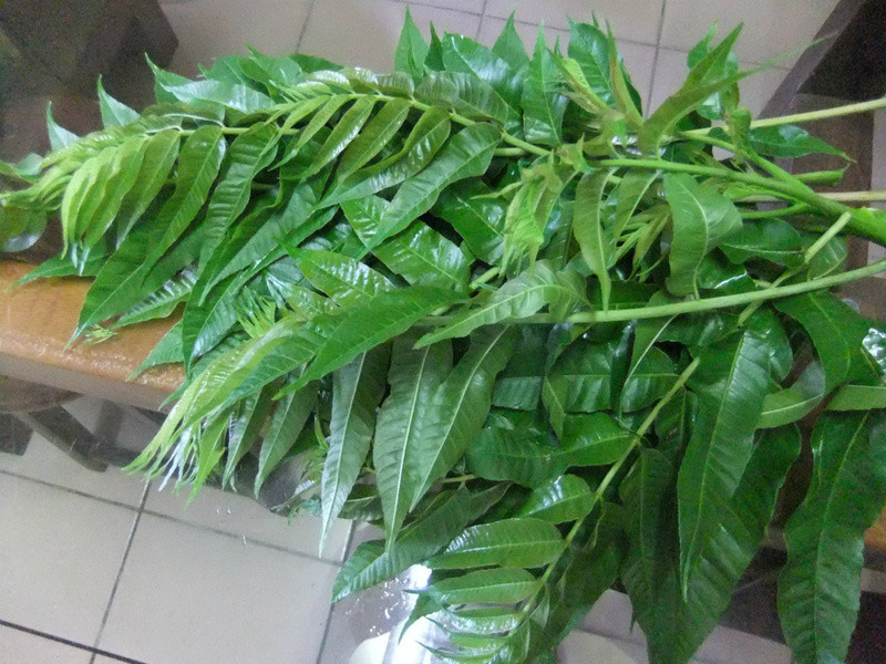 �����㴻�嵰������