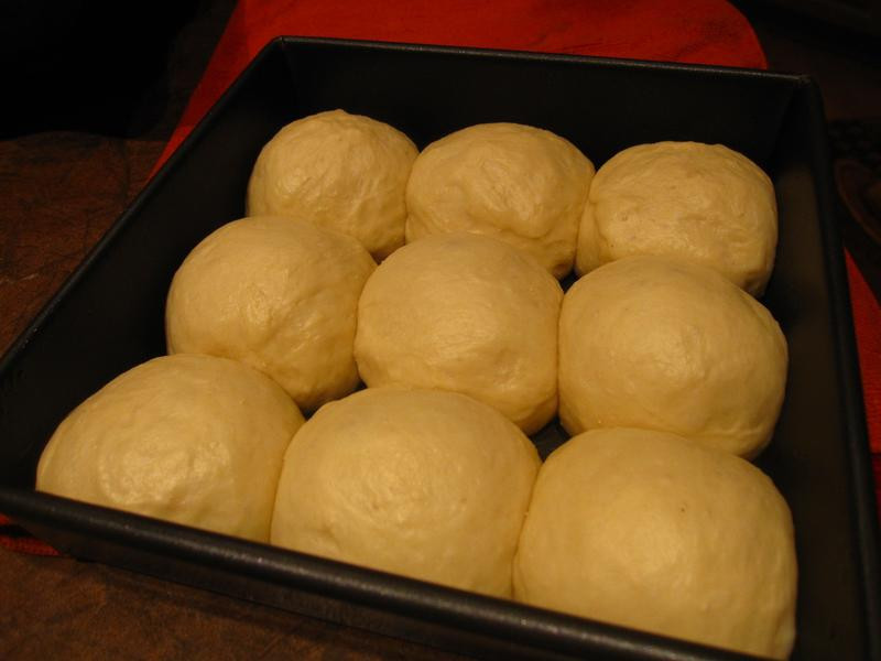 ��������Ͱ�������