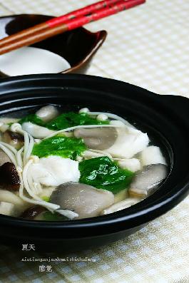 ������Ƭ������