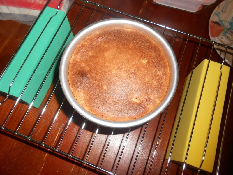 â�����������������