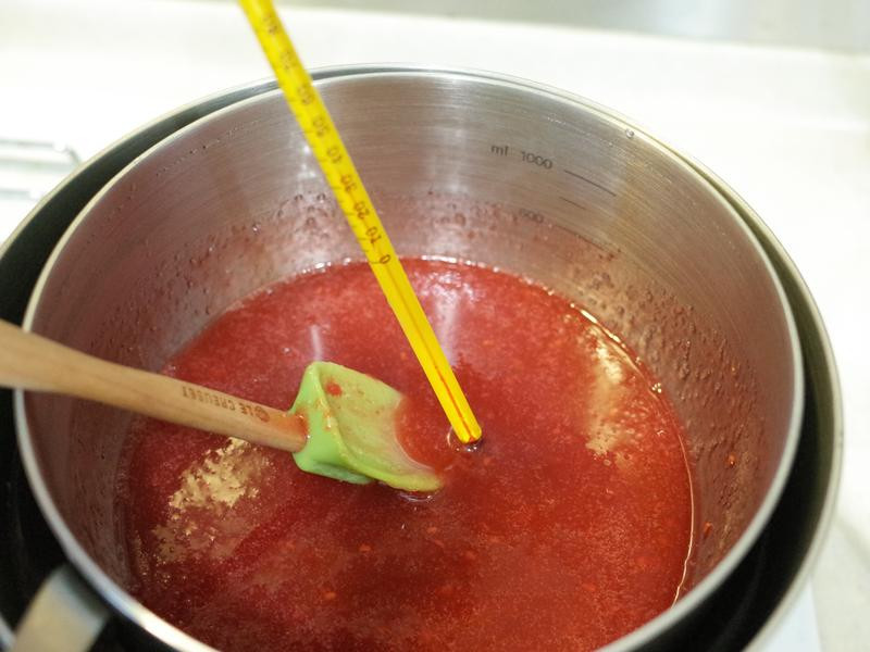 �����Ӳ�ݮ��ʽ���ǵ�����