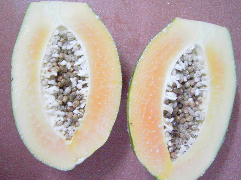 ����ĺ���ζ-��ľ�����Źǵ�����