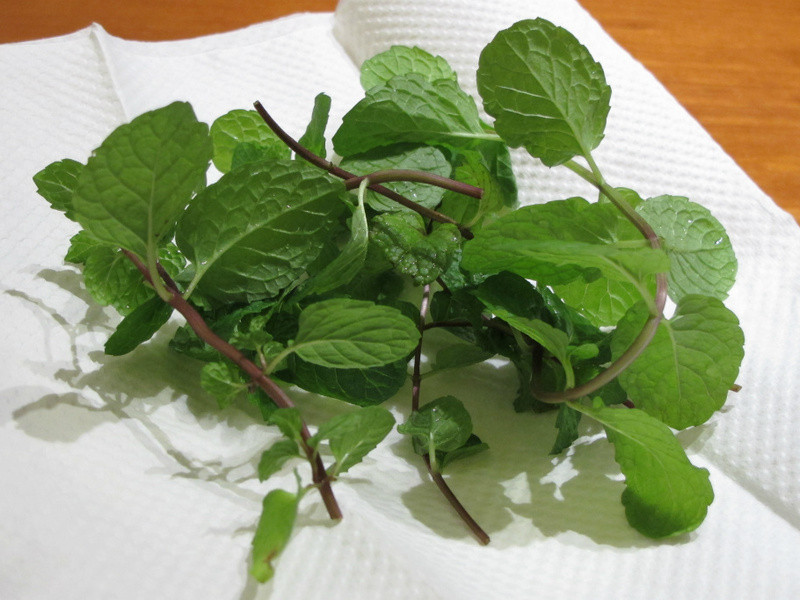 Cin��*���ɰ����׿ɴױ�ɳ������