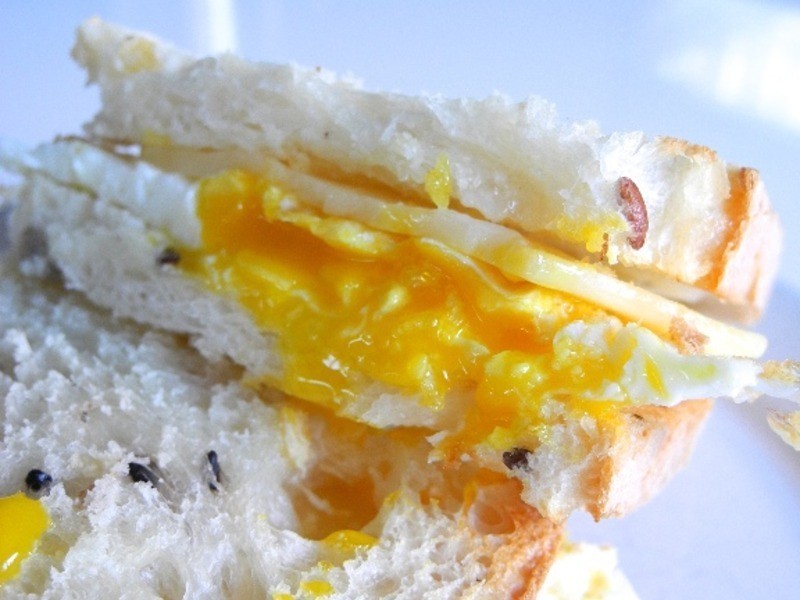 �������ε�����