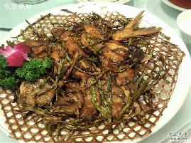 ��Ѭ���������