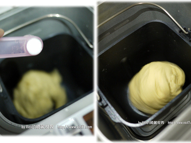 ������˾��VICI�����˳�����������