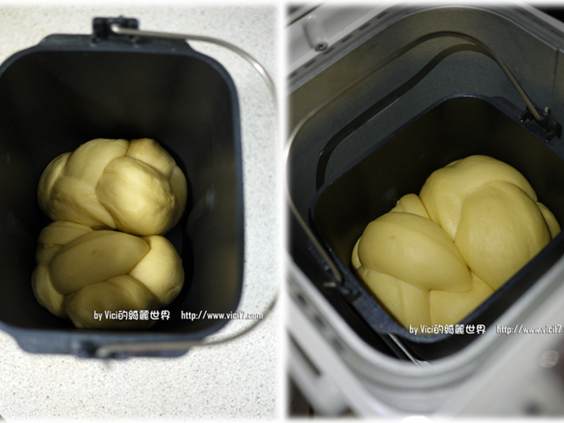 ������˾��VICI�����˳�����������