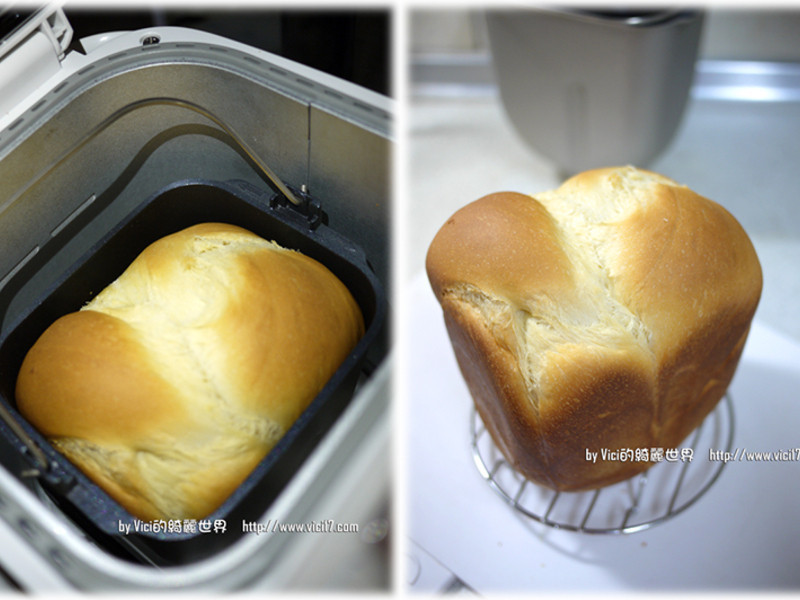 ������˾��VICI�����˳�����������