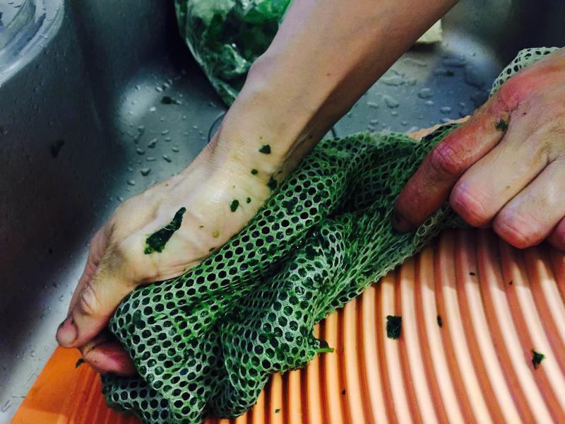 ��Ҷ���������