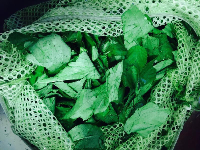 ��Ҷ���������