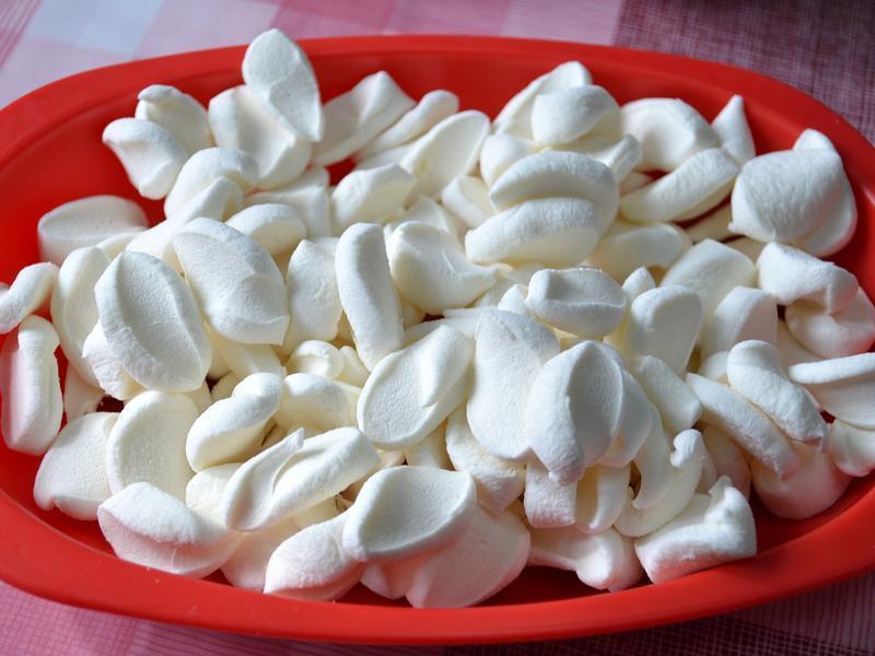 ţ���Ǳ���(���ټ��װ�)������