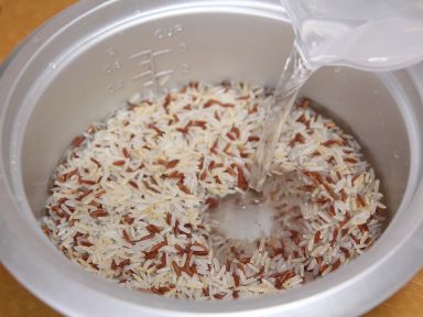 ��ʳ����ɳ�ɵ�����