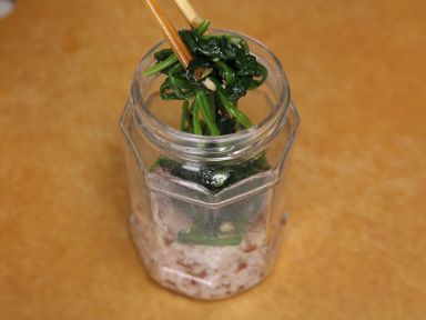 ��ʳ����ɳ�ɵ�����