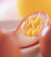 �̠`���ĵ�������