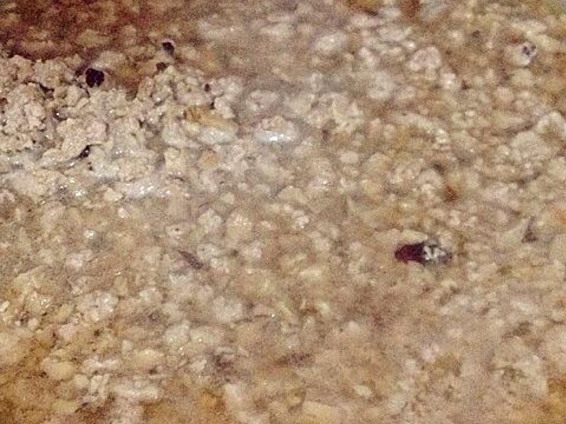 ��ʳƷ�����·����㹽���������