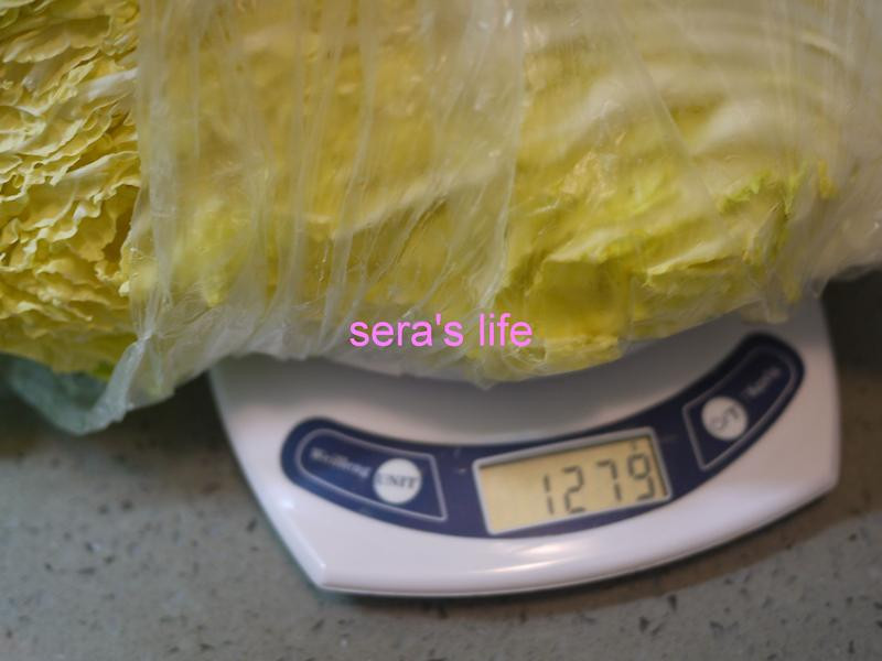 ����ײ�±������