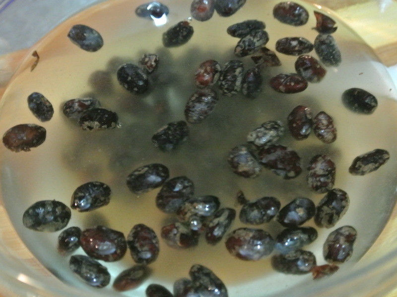 ��������Ƥ�����桺��ľ������������