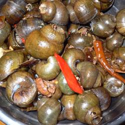 ���������ݵ�����