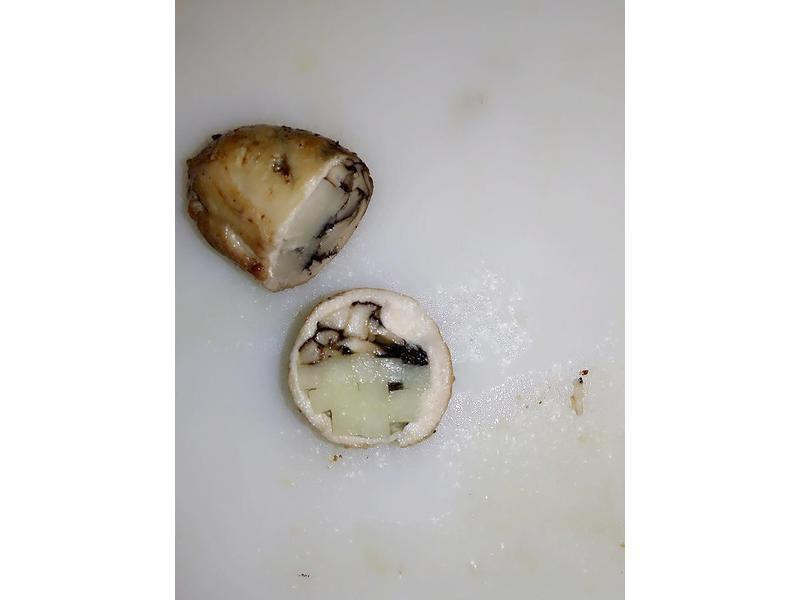 ɳ����Ұ�������������