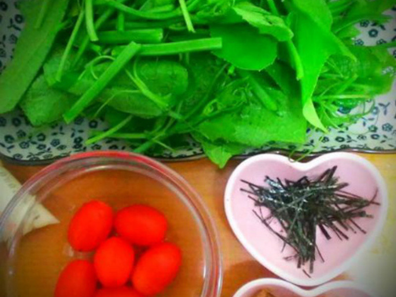 ����ɳ������˵�����