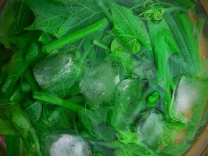 ����ɳ������˵�����