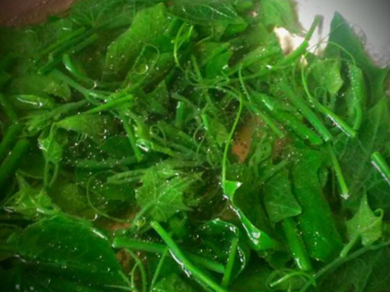 ����ɳ������˵�����