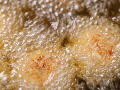 ÷�Ӻ����������