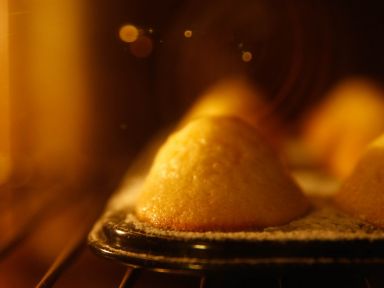 ���������������������