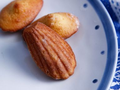 ���������������������