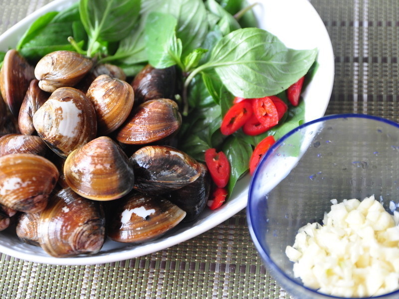 ������ۡ�ZAWA 24cmƽ�׹���������