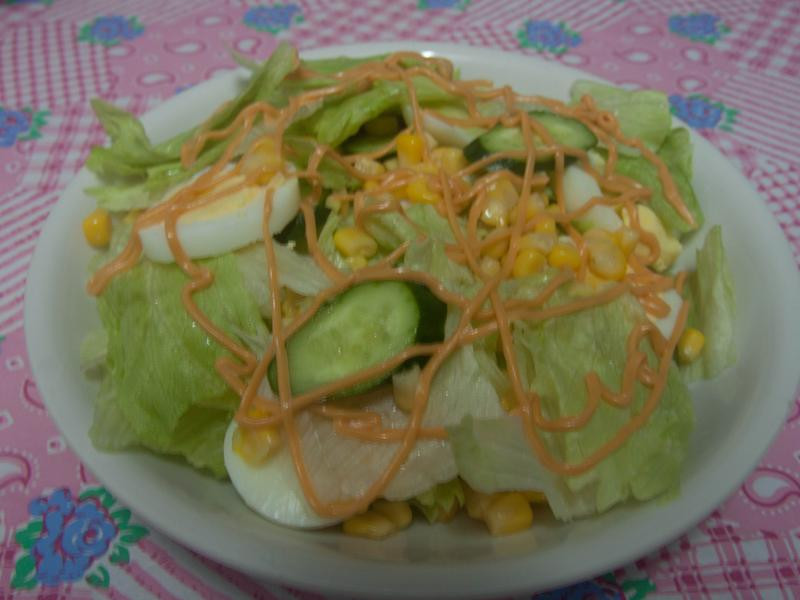 �ں���������ɳ��������